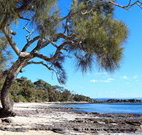 David Jones Cottage - Accommodation ACT
