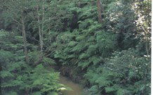 Eco Huts - Jervis Bay Getaways - Accommodation ACT 1