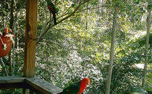 Eco Huts - Jervis Bay Getaways - Accommodation ACT 2