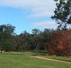 Mulberry Cottage - Accommodation ACT