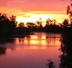 Roches Family Hotel - Accommodation ACT
