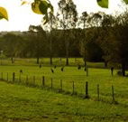 Stone Cottage Mittagong - Accommodation ACT