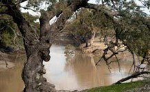 Valley View Cottage Hunter Valley - Accommodation ACT 0
