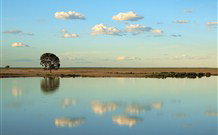 Valley View Cottage Hunter Valley - Accommodation ACT 4