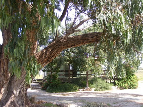 Coodlie Park - Port Kenny - Venus Bay - Accommodation ACT 4