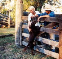 Minmore Farmstay Bed and Breakfast - Accommodation ACT