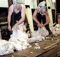 The Woolshed at Jondaryan Caravan and Camping - Accommodation ACT