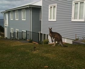 Hyams Beach Bed And Breakfast - Accommodation ACT 6