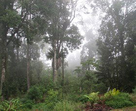 Arborlee Rainforest Retreat - Accommodation ACT 0