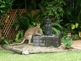 Bluewater Bed And Breakfast Cairns - Accommodation ACT 3