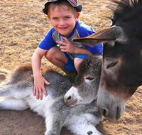 Destiny Boonah ECO Cottages and Donkey Farm - Accommodation ACT
