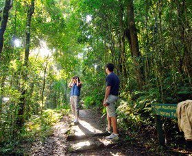 O'Reilly's Rainforest Retreat - Accommodation ACT 2