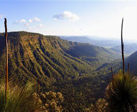 O'Reilly's Rainforest Retreat - Accommodation ACT 3