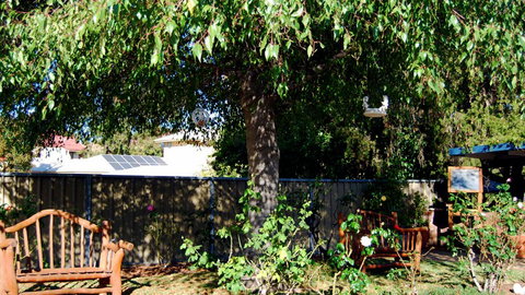 BEST WESTERN Wanderlight Motor Inn - Accommodation ACT 0