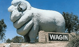 Wagin Motel - Accommodation ACT 0