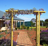 Lavendale Farmstay and Cottages - Accommodation ACT