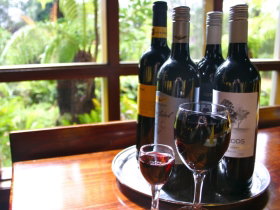 DERWENT BRIDGE WILDERNESS HOTEL - Accommodation ACT 1