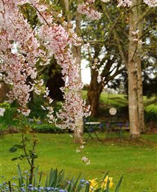 Beauty Point Cottages - Accommodation ACT 2