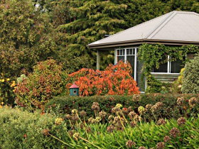 Beauty Point Cottages - Accommodation ACT 3