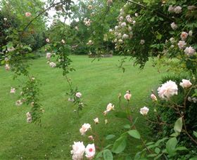 Beauty Point Cottages - Accommodation ACT 6