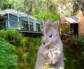 Huonville TAS Accommodation ACT