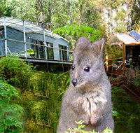 Huon Bush Retreats - Accommodation ACT