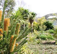 Yooringa Garden Cottage - Accommodation ACT