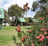 Derwent Bridge Chalets  Studios - Accommodation ACT