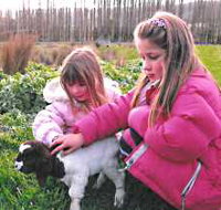 Huon Valley Caravan Park - Accommodation ACT