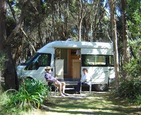 Crayfish Creek Van And Cabin Park And Spa Treehouse - Accommodation ACT 3