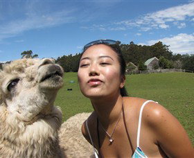 Tin Dragon Trail Cottages - Accommodation ACT 4