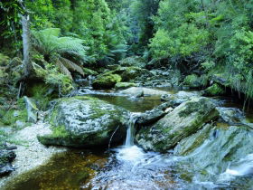 Tarkine Wilderness Experience At Corinna - Accommodation ACT 0