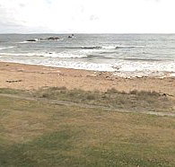 Penguin Caravan Park - Accommodation ACT