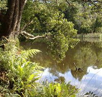 Weldborough Camping Ground - Accommodation ACT