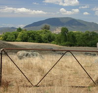 Elmstead Cottages - Accommodation ACT