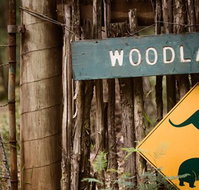 Woodlands Rainforest Retreat - Accommodation ACT