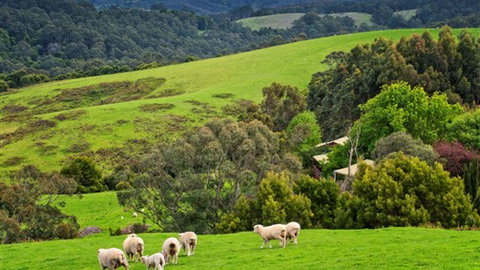 Johanna River Farm And Self Contained Cottages - Accommodation ACT 1