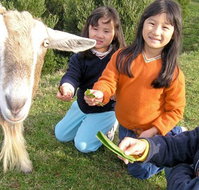 Johanna River Farm and Self Contained Cottages - Accommodation ACT