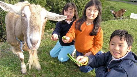 Johanna River Farm And Self Contained Cottages - Accommodation ACT 0