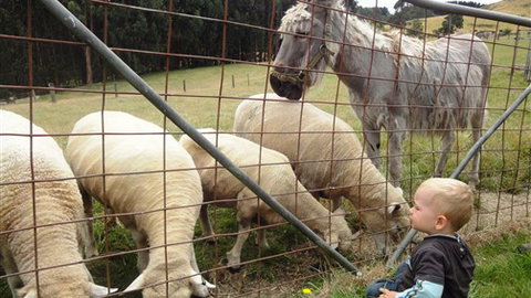 Johanna River Farm And Self Contained Cottages - Accommodation ACT 3