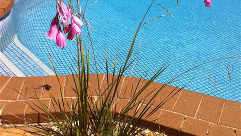 The Murray View Motel - Accommodation ACT 6