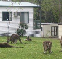 Halls Gap Caravan Park - Accommodation ACT