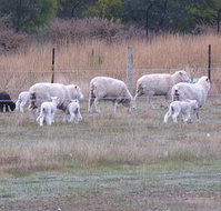 Auberge Woodend - Accommodation ACT