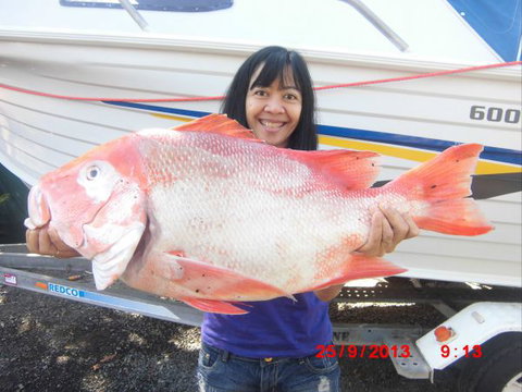 Flying Fish Point Tourist Park - Accommodation ACT 6