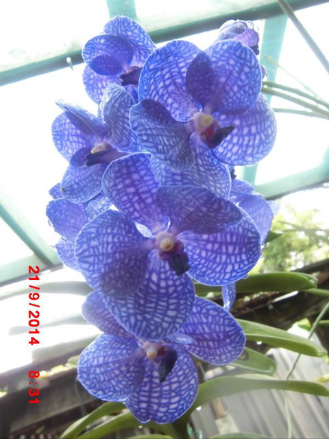 Flying Fish Point Tourist Park - Accommodation ACT 8