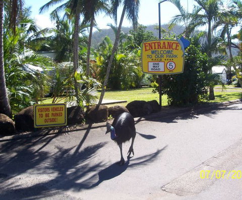 Flying Fish Point Tourist Park - Accommodation ACT 9