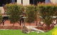 Alpha Canberra Hotel And Apartments - thumb 1