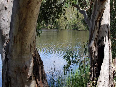 Bumberry Dam - Accommodation ACT 1