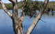 Bumberry Dam - thumb 2