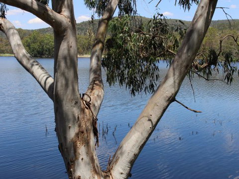 Bumberry Dam - Accommodation ACT 2